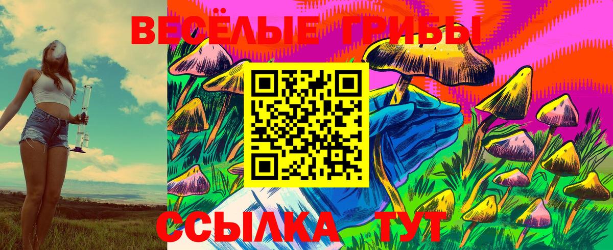 Галлюциногенные грибы Psilocybe Томск
