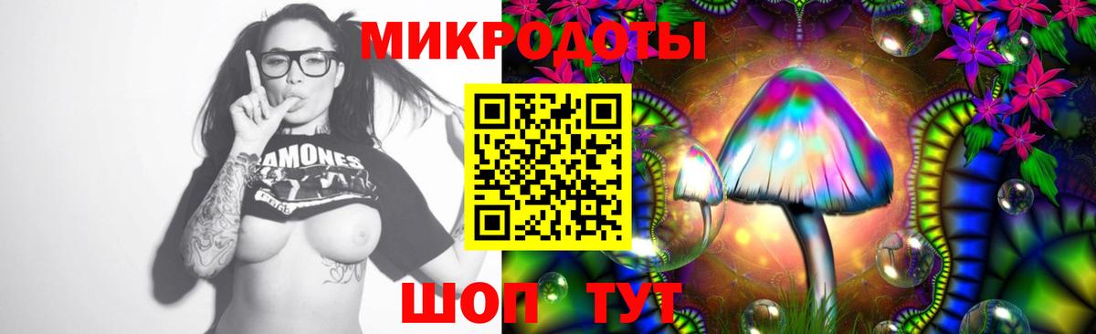Томск  Галлюциногенные грибы ЛСД  Вход с VPN 